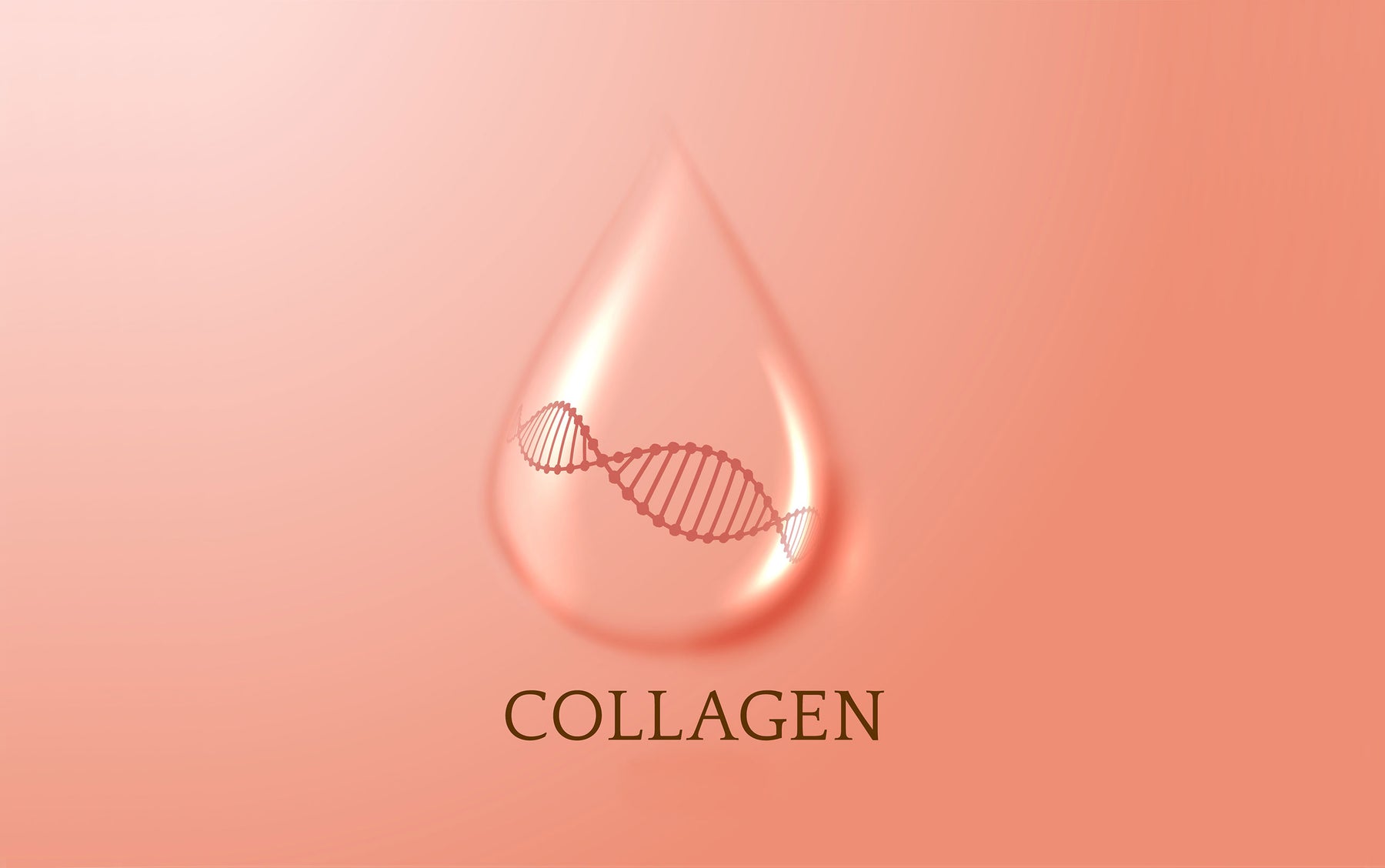 The Science Behind Collagen Supplements: A Deep Dive