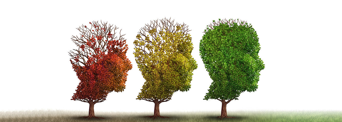 Aging Brain Health Decline: Causes, Preventing & Reversing