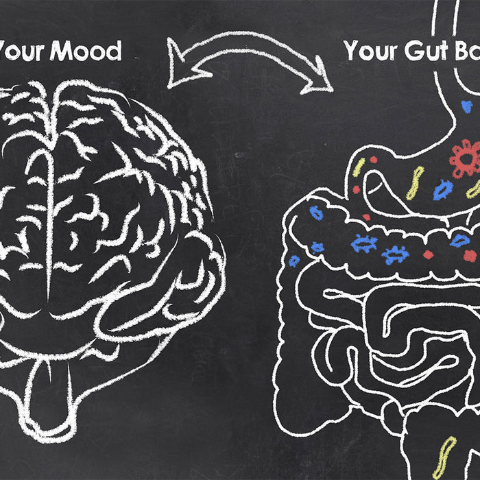 How Gut Health Affects Everything
