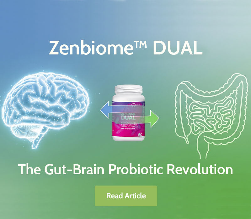 Gut-brain axis banner design with a Zenbiome DUAL supplement bottle