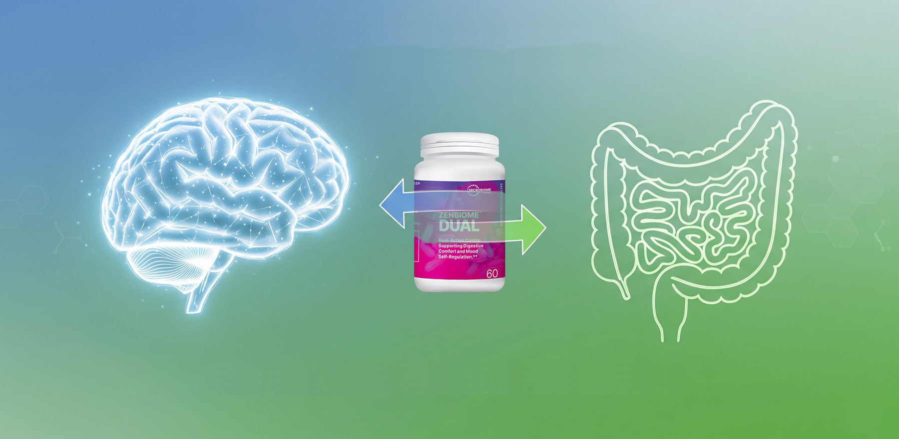 Gut-brain axis banner design with a Zenbiome DUAL supplement bottle