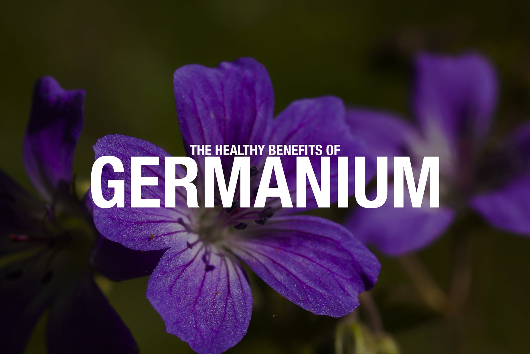 The Healthy Benefits of Germanium