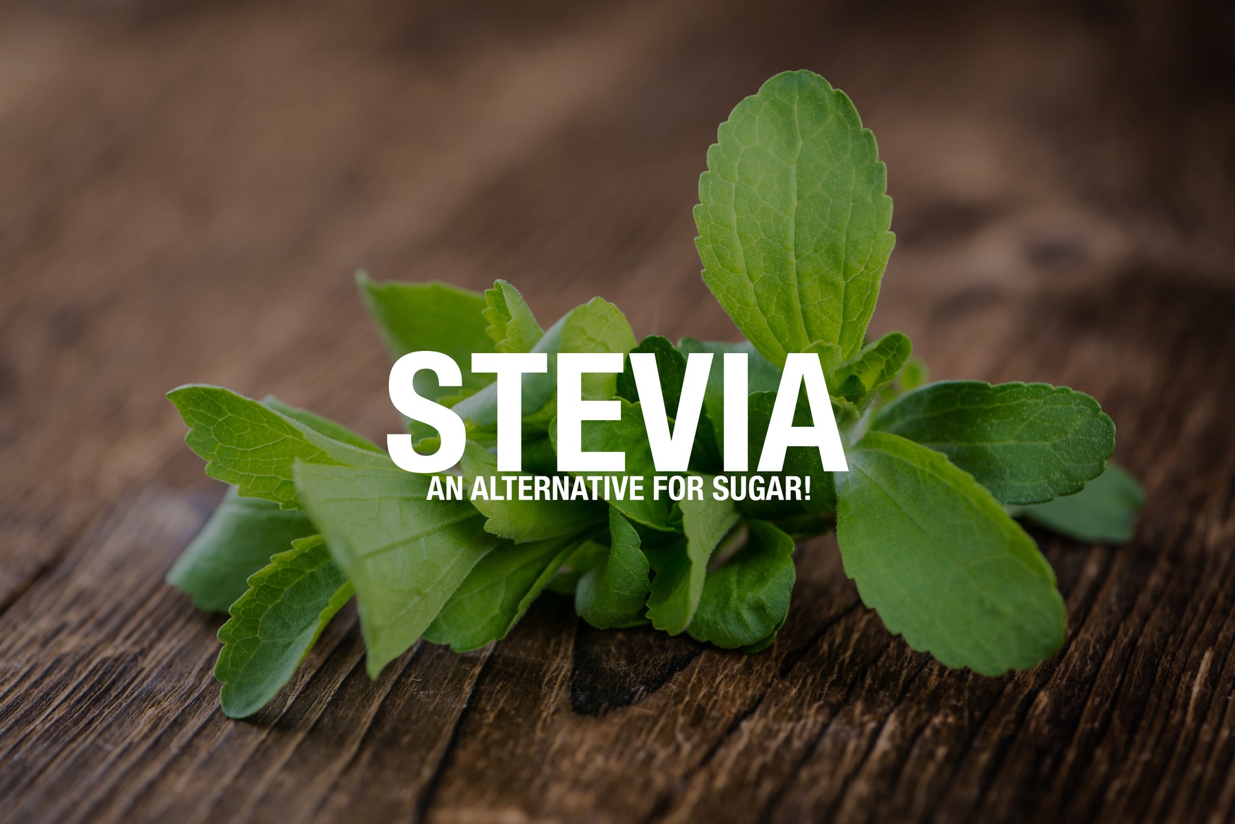 Stevia: An Alternative for Sugar