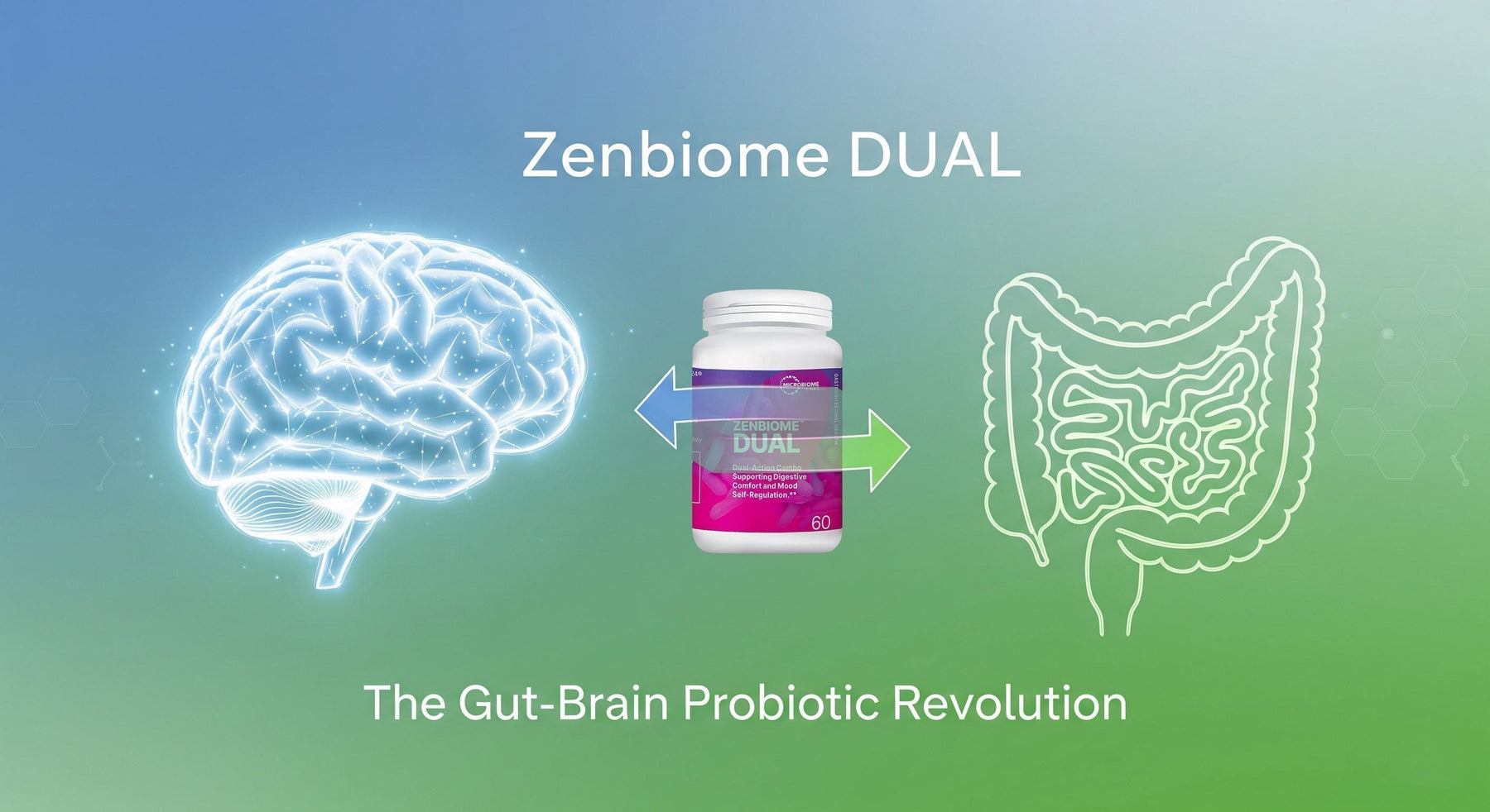 Blue & green image featuring a brain, gut area, and a Zenbiome DUAL by Microbiome Labs supplement bottle
