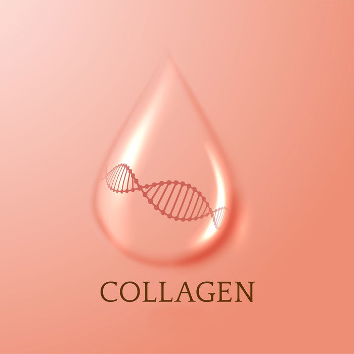 The Science Behind Collagen Supplements: A Deep Dive