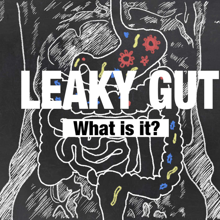 Digestive Issues - Is it Leaky Gut?