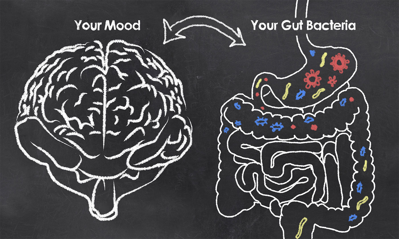 How Gut Health Affects Everything