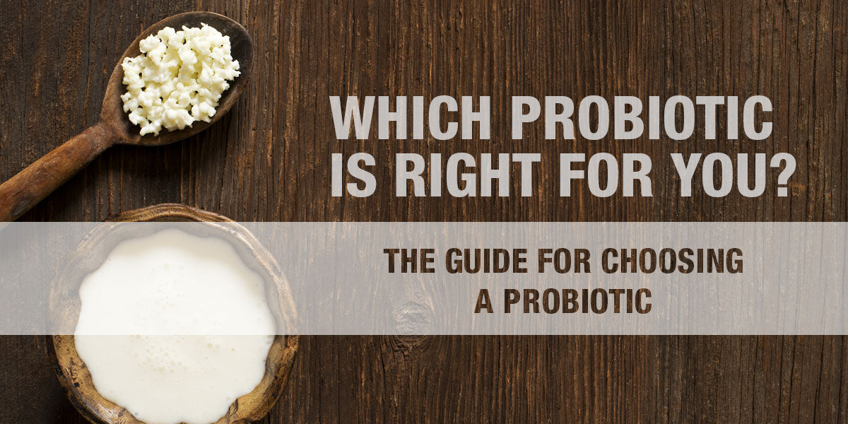 Which Probiotic is Right for You?