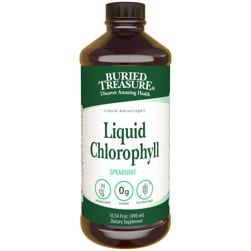 Buried Treasure, Liquid Chlorophyll Spearmint 16.23 fl oz