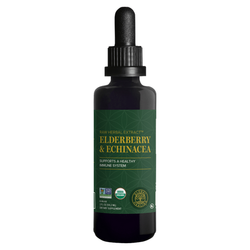 Global Healing, Elderberry & Echinacea 2 fl oz