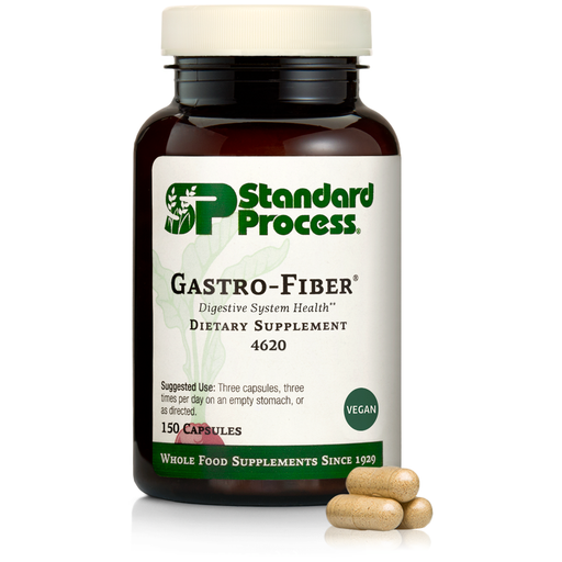 gastro fiber