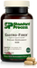gastro fiber
