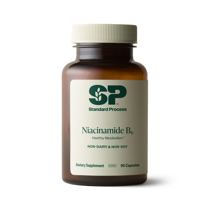 Niacinamide B6, 90 Capsules