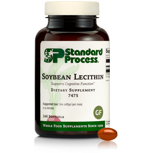 Soybean Lecithin, 240 Softgels