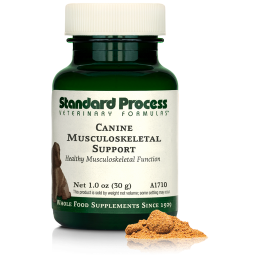 A bottle of Canine Musculoskeletal Support, a powder supplement for dogs’ muscles, ligaments and bone health, next to an image of the powder supplement.