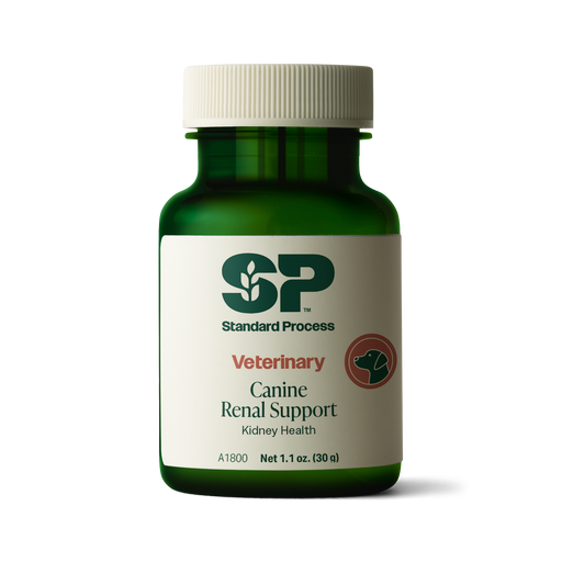 Canine Renal Support, 30 g