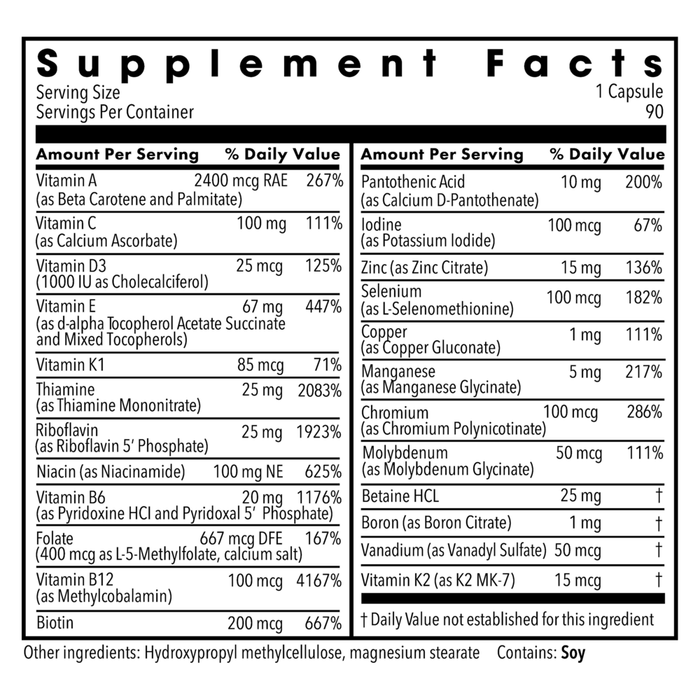 The Big One without Iron 90 vcaps by Metabolic Maintenance