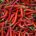 Image of Cayenne peppers