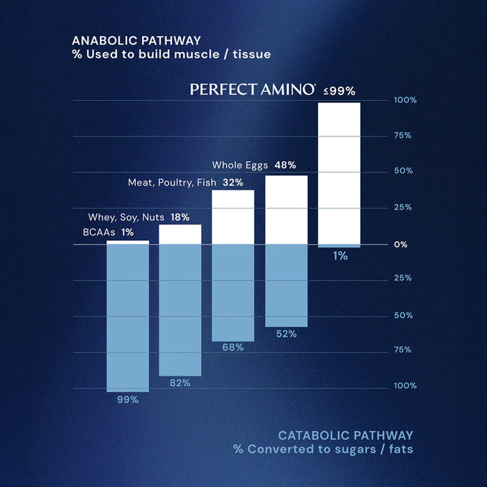 PerfectAmino Catabolic Pathway