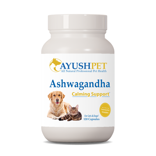 Ayush Herbs Ashwagandha, 90 capsules, front of bottle