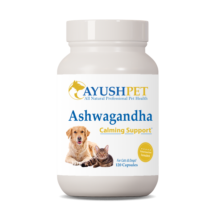 Ayush Herbs Ashwagandha, 90 capsules, front of bottle