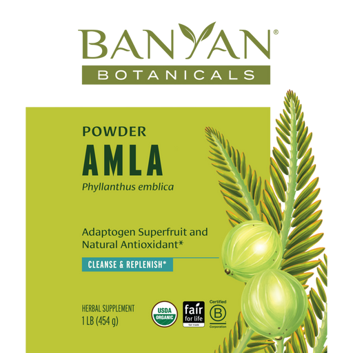Banyan Botanicals Amla Powder