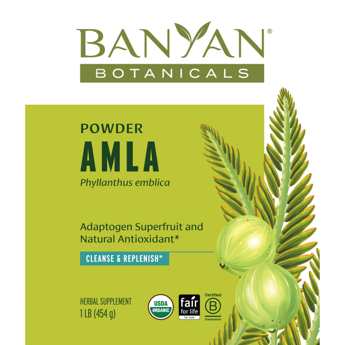 Banyan Botanicals Amla Powder