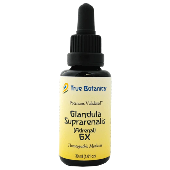 Glandula Suprarenalis (Adrenal) 6X 30 mL by True Botanica