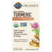 Garden of Life mykind Organics Extra Strength Turmeric, 120 tablets, front of box