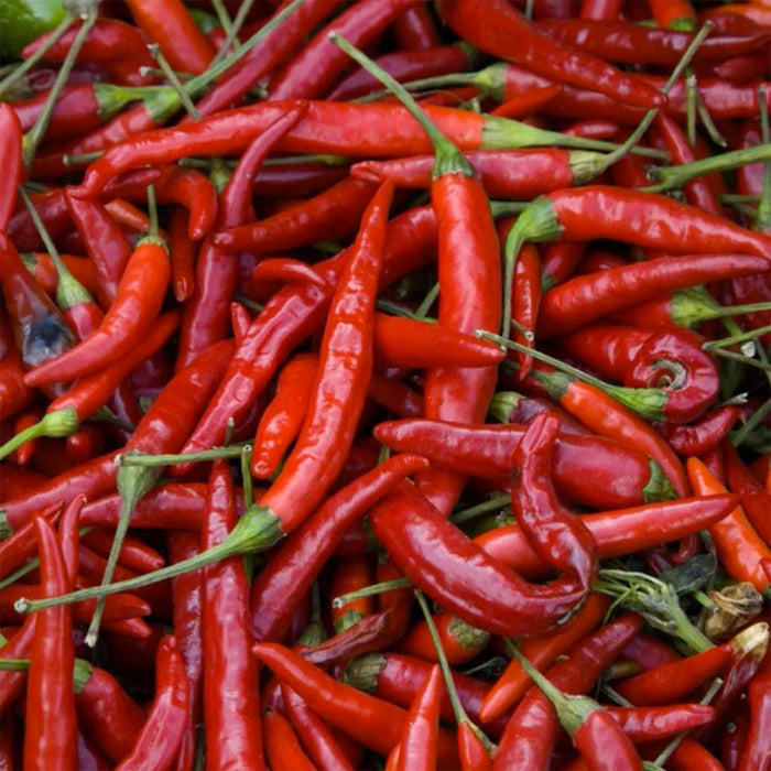 Red cayenne peppers, the herb in Herb Pharm Cayenne extract