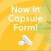 Thera-B by Klaire Labs/SFI Health, now in capsule form