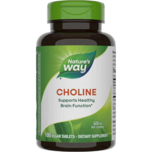 Nature's Way Choline 500 mg, 100 tablets, front of bottle