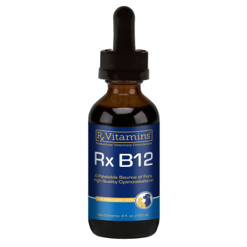 Rx Vitamins for Pets Rx B12, 4 fl oz, front of dropper bottle