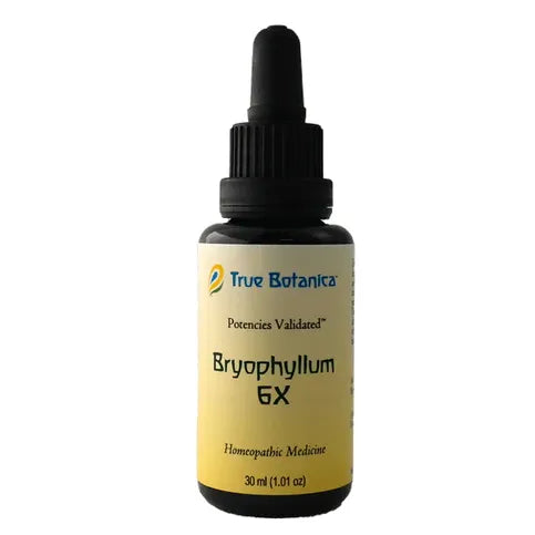 True Botanica Bryophyllum 6X 30 ml
