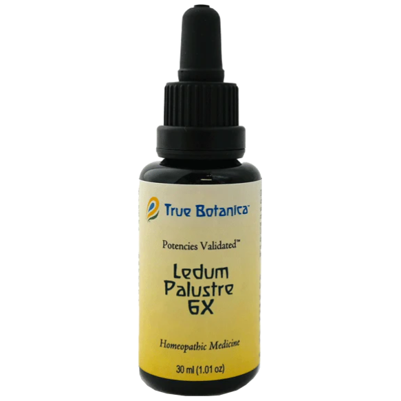 True Botanica Ledum Palustre 6X, 30 mL, front of dropper bottle