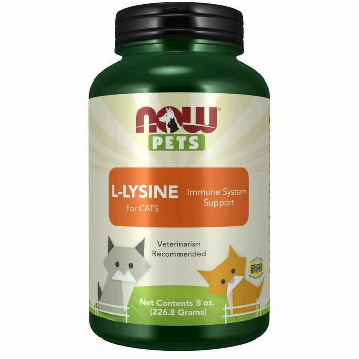 Pets L-Lysine Powder (cats) 8 oz By Now