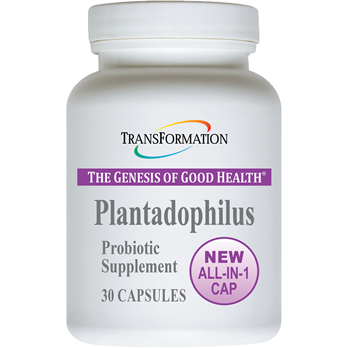 Plantadophilus 30 caps by Transformation Enzyme