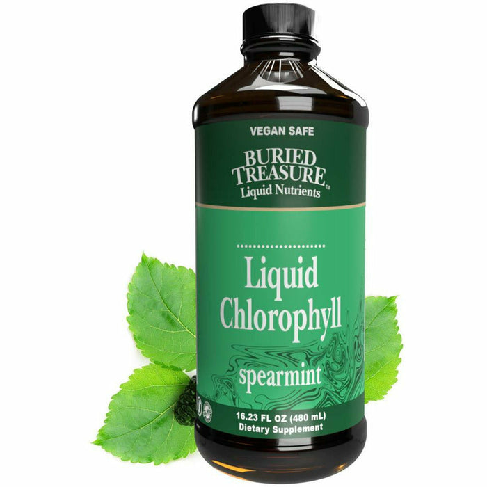 Buried Treasure, Liquid Chlorophyll Spearmint 16.23 fl oz