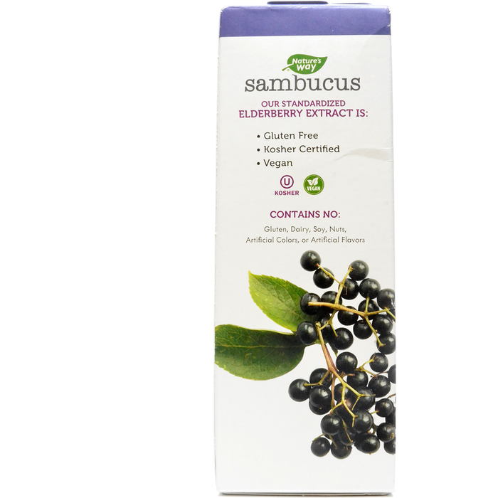 Sambucus Sugar Free Syrup 4 oz by Nature's Way Facts Label