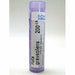 Boiron Ruta graveolens 200CK, 80 pellets, front of tube