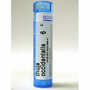 Boiron Thuja occidentalis 6C, 80 pellets, front of tube