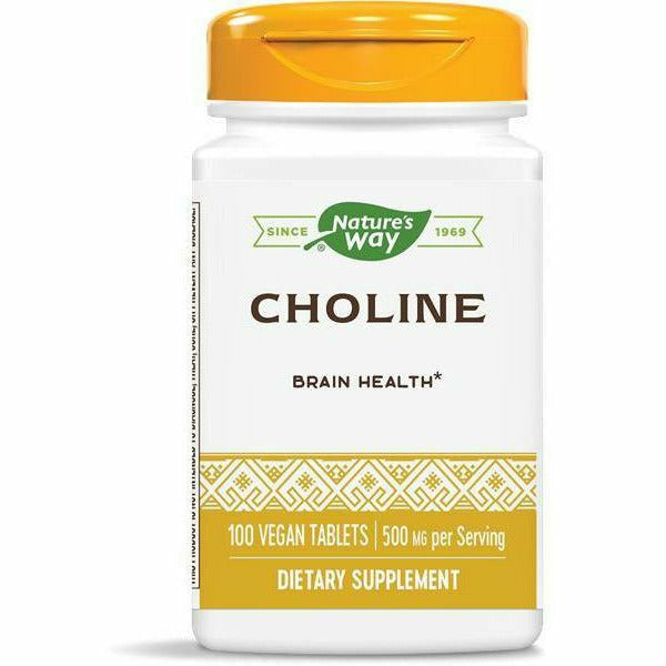 Nature's Way, Choline 500 mg 100 tabs