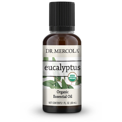 Organic Eucalyptus Essential Oil 1 fl oz by Dr. Mercola