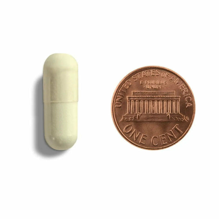 DaVinci Labs Nattokinase Plus 60 capsules size comparison