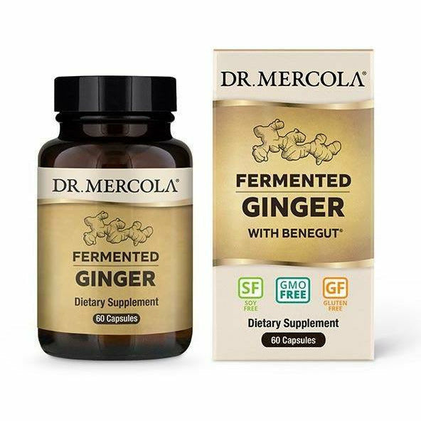 Dr. Mercola Fermented Ginger, 60 capsules, front of bottle