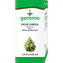 Ficus Carica 4.5 oz