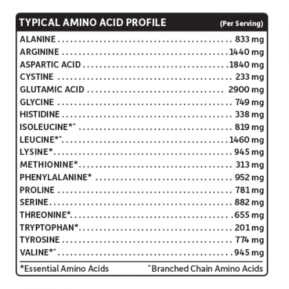 Garden of Life RAW Organic Meal Chocolate amino acid profile label