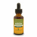 Herb Pharm Damiana, 1 fl oz, front of dropper bottle