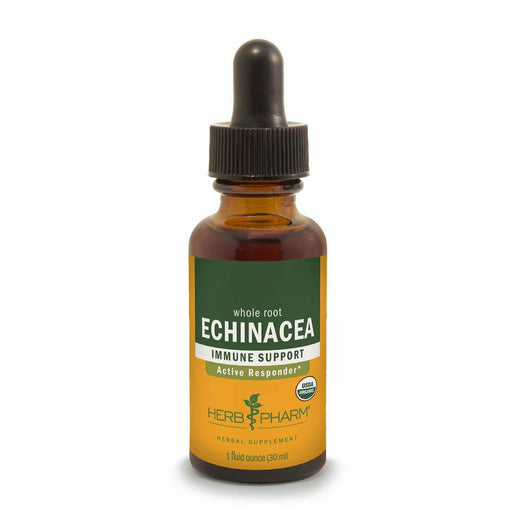 Herb Pharm Echinacea, 1 fl oz, front of dropper bottle