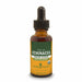Herb Pharm Echinacea, 1 fl oz, front of dropper bottle